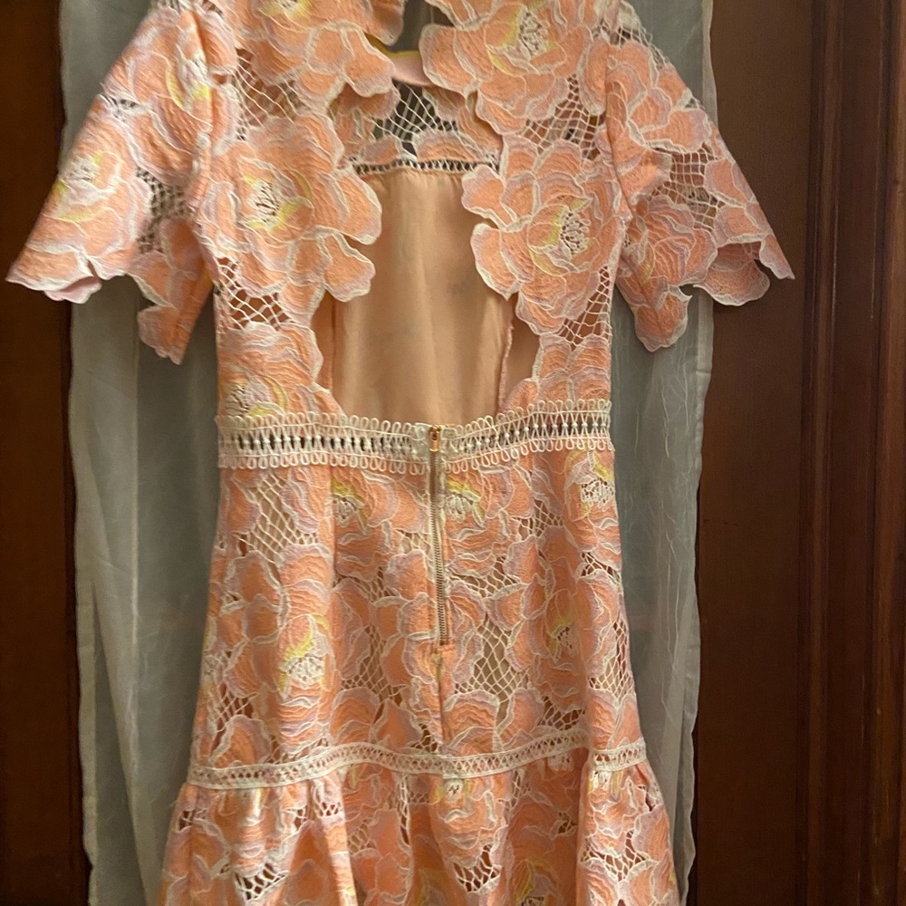 Saylor Huntyr Mini Dress - Picture 6 of 8